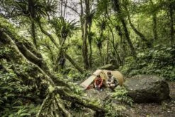 FJÄLLRÄVEN Tunnelzelt Abisko Lite 2 2 Pers., Farbe Pine Green, Unisex Tunnelzelt Abisko Lite 2 12 FJÄLLRÄVEN Tunnelzelt Abisko Lite 2 2 Pers., Farbe Pine Green, Unisex Tunnelzelt Abisko Lite 2 -Sportsandmore Geschäft Abisko Lite 2 7 1280x1280