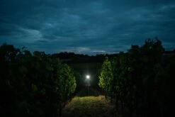 Ledlenser H7R Signature Stirnlampe H7R Signature Stirnlampe -Sportsandmore Geschäft ledlenser h7r signature 502197 trailrunner3bQOFJYJw0kgIz 1280x1280