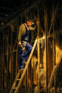 Ledlenser H7R Work Stirnlampe H7R Work Stirnlampe 11 Ledlenser H7R Work Stirnlampe H7R Work Stirnlampe -Sportsandmore Geschäft ledlenser h7r work 502195 outdoorFPxp6nC4NY7b6 1280x1280