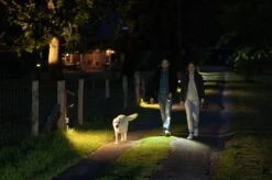 Ledlenser P7R Core Taschenlampe P7R Core Taschenlampe 11 Ledlenser P7R Core Taschenlampe P7R Core Taschenlampe -Sportsandmore Geschäft ledlenser p7r core 502181 home lifeWZQiU9DWwooMX 1280x1280